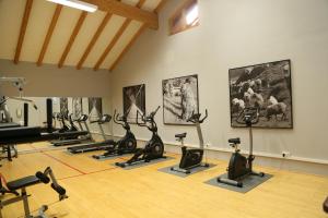 Fitness centrum a/nebo fitness zařízení v ubytování Posthotel Kassl 4-Sterne-Superior