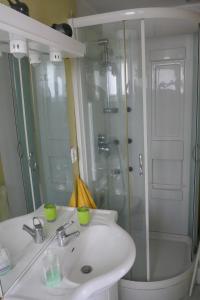 La salle de bains blanche est pourvue d'un lavabo et d'une douche. dans l'établissement Les Jonquilles, à La Bresse