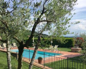 uma piscina num quintal com uma árvore em Agriturismo Borgo tra gli Olivi em Castiglion Fiorentino