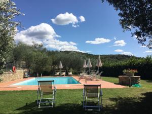uma piscina com 2 espreguiçadeiras e guarda-sóis em Agriturismo Borgo tra gli Olivi em Castiglion Fiorentino