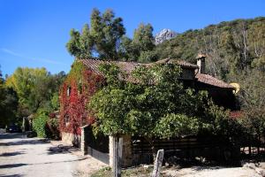 Príroda v okolí of the country house
