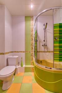 a bathroom with a toilet and a shower at Apartments in a developed area in Dnipro