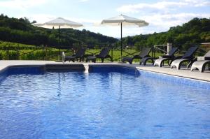 una piscina con sillas y sombrillas junto a ella en Il Roncal Wine Resort - for Wine Lovers, en Cividale del Friuli