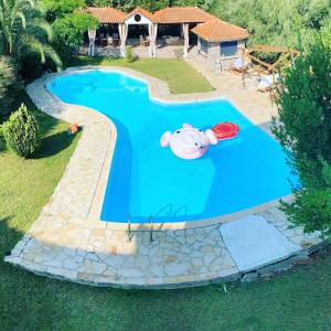 an overhead view of a swimming pool with a pig in it at Marita in Lisvórion