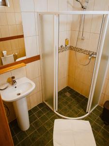 ein Bad mit einer Dusche und einem Waschbecken in der Unterkunft Kaķītis in Sigulda