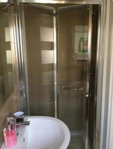 a bathroom with a shower and a white sink at Pembroke Suites in Pembroke 