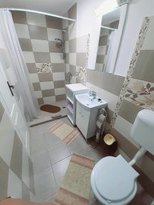 ハツェグにあるVila Nicoのバスルーム(白いトイレ、シンク付)