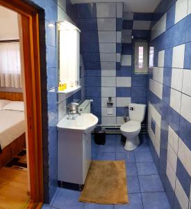a blue and white bathroom with a sink and a toilet at Dmc House in Frumosu