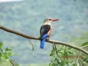Galerija fotografija objekta Kiboko Lodge u gradu 'Usa River'