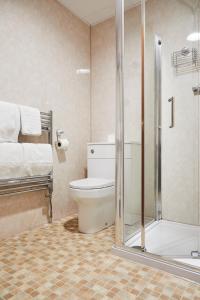 a bathroom with a toilet and a shower at The Appleby Inn Hotel in Appleby Magna