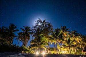 Galeriebild der Unterkunft Pongwe Beach Hotel in Pongwe