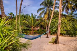 Ein Garten an der Unterkunft Pongwe Beach Hotel