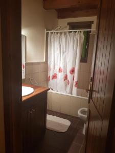 サラルドゥにあるApartamento salarduのバスルーム(洗面台、シャワーカーテン付きトイレ付)