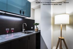 Kuchnia lub aneks kuchenny w obiekcie Apartamenty na Starówce / Old Town apartments