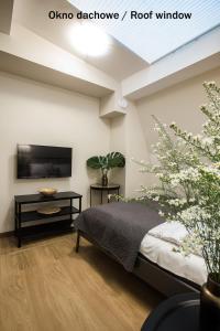 Telewizja i/lub zestaw kina domowego w obiekcie Apartamenty na Starówce / Old Town apartments
