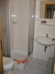 ein Bad mit einer Dusche, einem WC und einem Waschbecken in der Unterkunft Hotel Kirchner in Tharandt