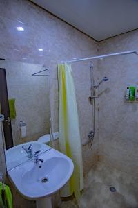 een badkamer met een wastafel en een douche bij At Nana's in Lagodekhi