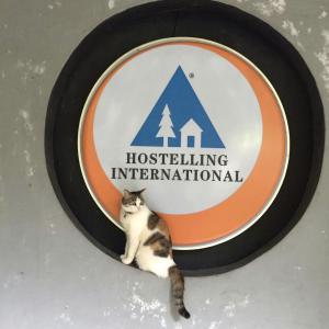 un gato sentado frente a un cartel internacional de construcción de viviendas en Shenzhen Loft Youth Hostel en Shenzhen
