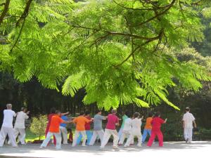 入住深圳僑城旅友國際青年旅舍的旅客