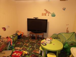 TV a/nebo společenská místnost v ubytování Horský apartmán 212 - Cihlářka