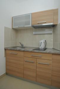 Kuchyň nebo kuchyňský kout v ubytování Hotel Anita