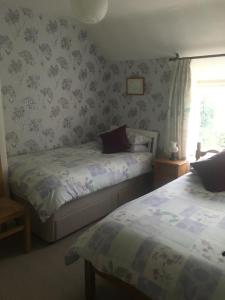a bedroom with two beds and a window at Arosfa in Bala