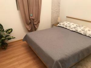 een slaapkamer met een bed en een potplant bij Holiday Home Panorama in Zubovići