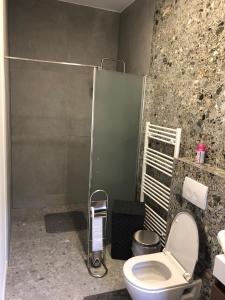 łazienka z toaletą i prysznicem w obiekcie your home ! w Antwerpii