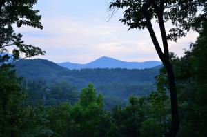 a view of the mountains through the trees at Afternoon Delight 1 Bedroom Cabin Rental between Gatlinburg and Pigeon Forge Great Couple getaway in Sevierville