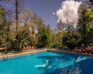 une grande piscine bleue avec des chaises et des arbres dans l'établissement Hostería Millahue, à San José de Maipo