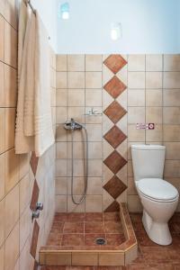 a bathroom with a toilet and a shower at Asterias House in Donoussa