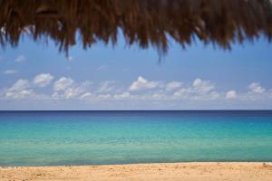 a view of the ocean from a straw umbrella on a beach at Hotel Porto Santo & Spa in Porto Santo