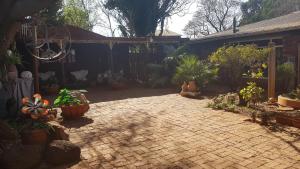 a patio with a bunch of potted plants on it at Wooden Creek Estate in Kempton Park