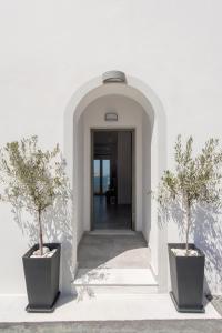 two potted trees in pots on a hallway at Ormos Naoussa's suite in Naousa