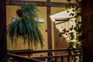 Fotografie z fotogalerie ubytování Posada Real de Carreteros v destinaci Casarejos