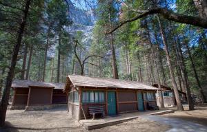 une cabine au milieu d'une forêt dans l'établissement Curry Village, à Curry Village
