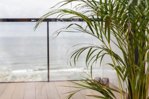 a plant in a room with a view of the ocean at Seaside Park Private Aurora 502 in Kołobrzeg