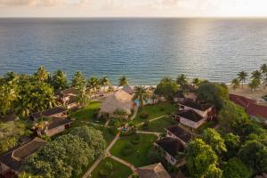 
a beach with palm trees and palm trees at Belizean Dreams Resort in Hopkins
