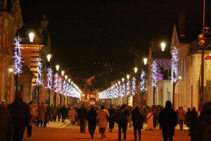 Une foule de gens marchant dans une rue avec des lumières de Noël dans l'établissement A la tête de Cheval, à Épernay