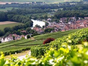 A bird's-eye view of A la tête de Cheval