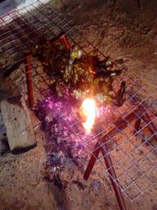 Gril dostupný pro hosty v bed and breakfast