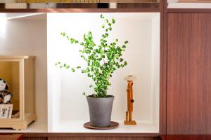 a plant in a pot in a cabinet at Yado Hachiemon in Osaka