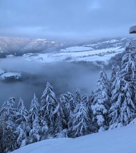 Forchnerhof Panorama - Dolomitenblick v zime