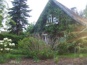 a house with ivy growing on the side of it at Pension Am Holzgraben in Lübbenau +11 photos