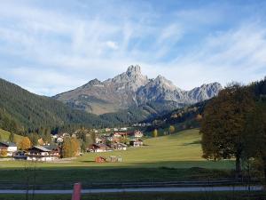 Galeriebild der Unterkunft Buschhäusl in Filzmoos