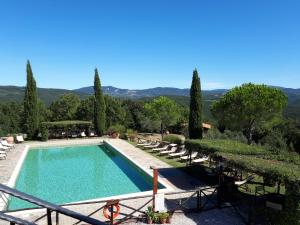 a swimming pool in a resort with chairs and trees at Agriturismo Podere San Lorenzo 1866 in Massa Marittima