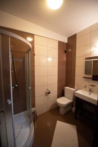 uma casa de banho com um chuveiro, um WC e um lavatório. em Pension Arena em Cluj-Napoca