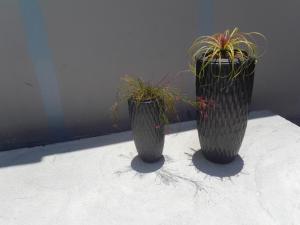 Fotografie z fotogalerie ubytování LE COLONIAL, T4 à 5 mn Aeroport dans villa de standing v destinaci Sainte-Marie