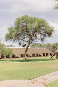 a large tree in front of a building at Okahandja Country Hotel in Okahandja