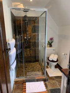 a bathroom with a shower and a toilet at Ikhaya Safari Lodge in Cape Town